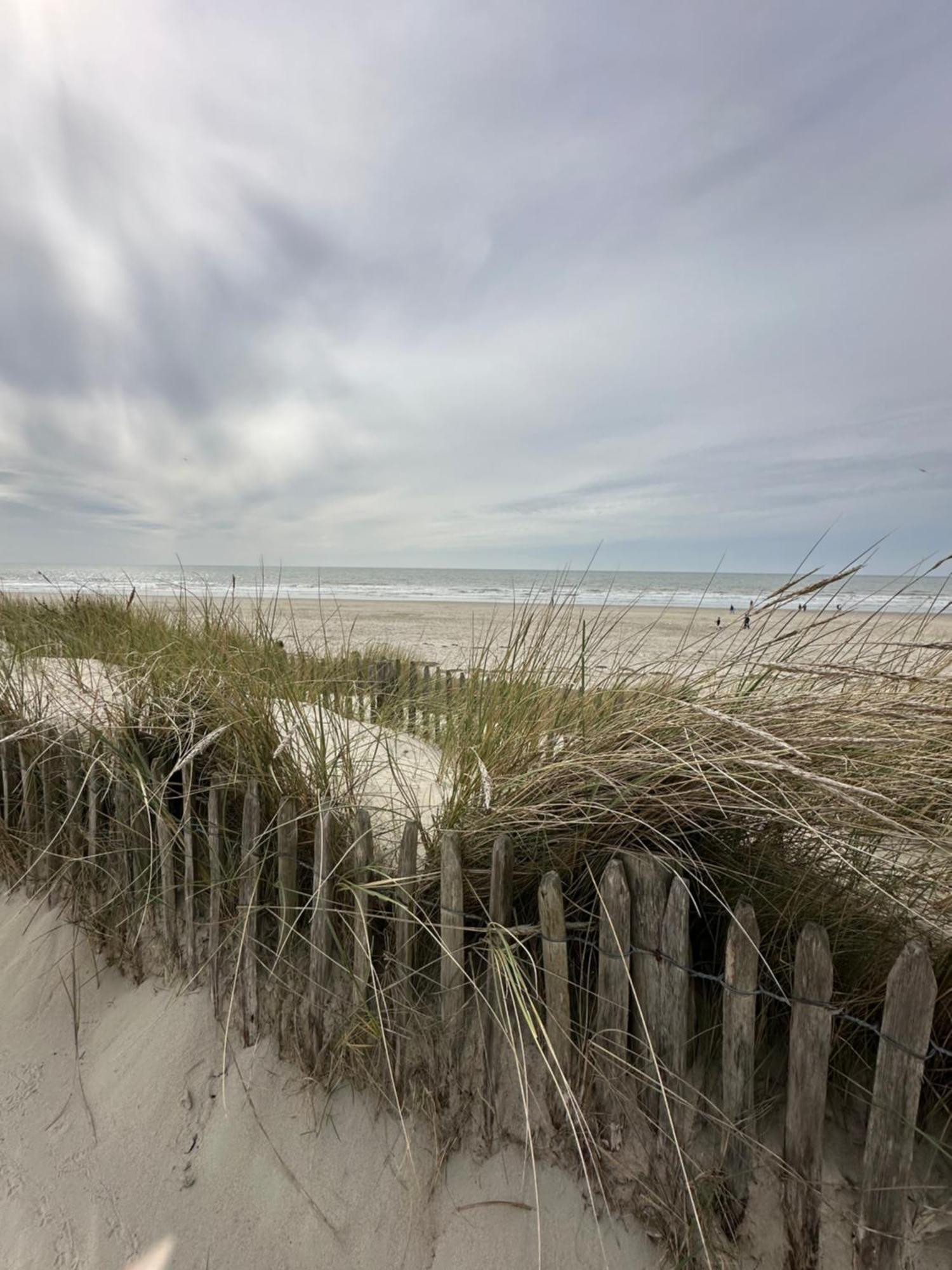 Bel Appartement - Lm La Mer Berck Eksteriør billede